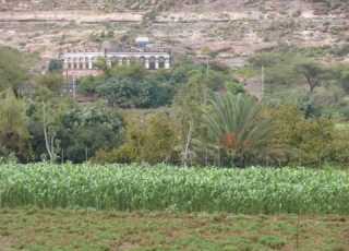  جبن Juban