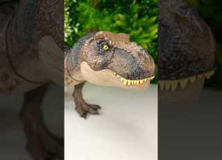  Baby Dinosaur Transformations Dinosaurtoys
