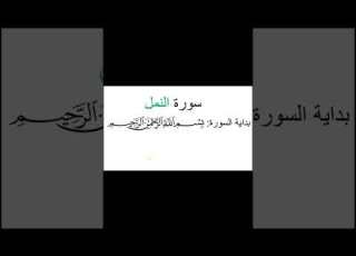 هل تعلم ماهي السورة القرآنية التي ذكرت فيها البسملة مرتين