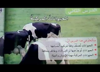  الحيوانات المركبة الدرس كامل مع شرح بسيط علوم الرابع الابتدائي
