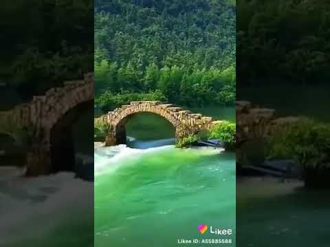 عاصي الحلاني