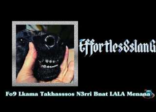 LEVY 3O9DAT LKHAWAJA