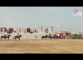 Festival Sahara Tbourida Agadir مهرجان الصحراء أكادير تبوريدة و معرض منتوجات طبيعية