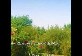 مجموعة صور متنوعة من بلدة حسرات