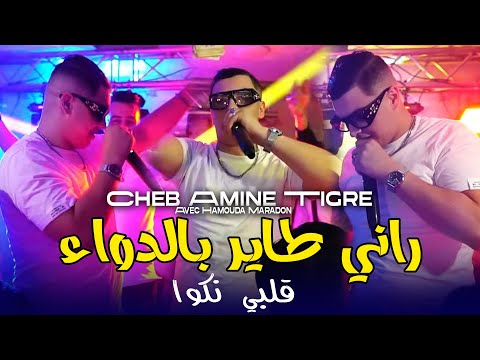 Cheb Amine Tigre Rani Tayar Badwa راني طاير بالدواء Ft Hamouda Maradon Officiel Music Video Cheb Amine Tigre Rani Tayar Badwa راني طاير بالدواء Ft Hamouda Maradon Officiel Music Video