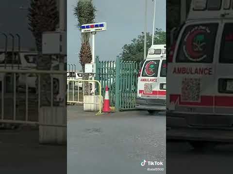 من يخاف من صوت انا اي حيلل