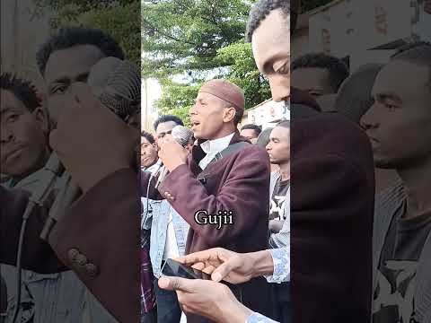 Godina Gujii Lixaa Bulee Horatti