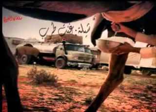  شيلة الفكر ملوي