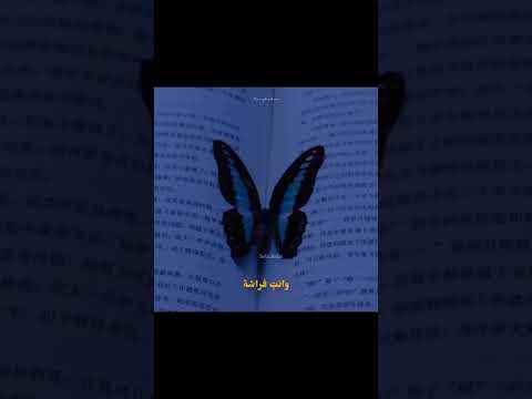 اثر الفراشة لا يزال Shorts Story