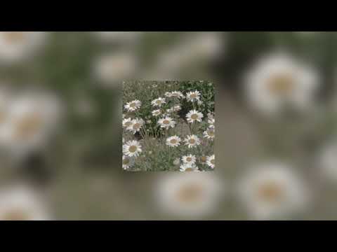 Shootout X Say Yes To Heaven Izzamuzzic X Lana Del Speed Up