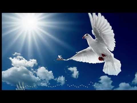 OLE WENU KWAYA YA MTAKATIFU PETRO KATANDALA JIMBO LA SUMBAWANGA