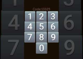  Code 13325
