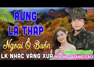  RỪNG LÁ THẤP LK Nhạc Vàng Xưa CÔNG TUẤN Toàn Bài Hay Nghe Cực Êm Tai KHÔNG QUẢNG CÁO