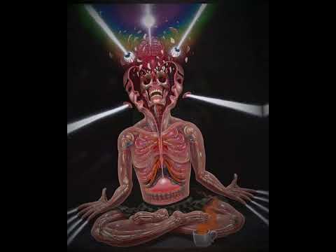 L Morphine Sucré Salé 2023 WEST MED