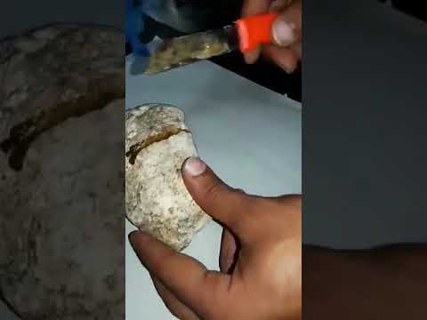 هكذا هو العنبر لمن لا يعرف العنبر