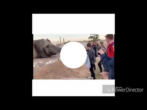 Ona Alicho Fanyiwa Huyu Dada Sidhani Kama Atarudiya