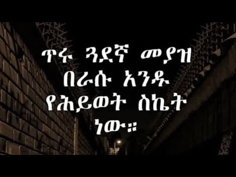 Serwit ስራዊት You Tube Is Live Good Evening