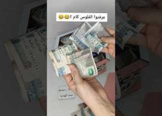  فتحت بو العيد