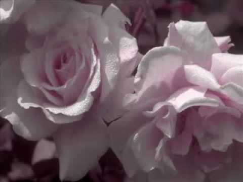 فيروز آخر أيام الصيفيه