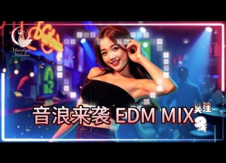 Vol 31 1小时无间断电音狂嗨 夜店必备 EDM舞曲炸裂派对 EDM Nightclub DJRemix PartyMusic EDM2025 DanceMusic