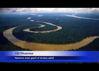  102 Dhaamsa Wanni Hamtuun Waan Gaarii Duubaa Qabdi