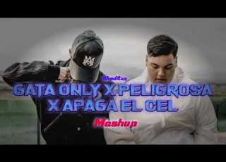 Gata Only X Peligrosa X Apaga El Cel Floyymenor X Cris MJ AKEDITXX Mashup