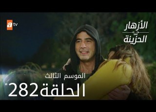 مسلسل الأزهار الحزينة الحلقة 282 الموسم الثالث