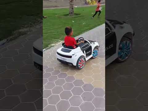 النوبى باشا محمود السوهاجى راكب العربيه السعودية الكويت الامارات قطر عمان البحرين