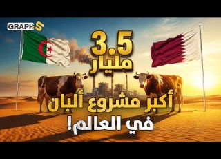  قطر تروض صحراء الجزائر وتدفع 3 5 مليار دولار من أجل كوب حليب