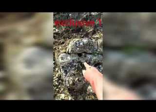 خبير فى تحليل الاشارات Archeology Professor Exclusive1 آثار دولار كنوز تحليل زبق
