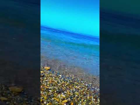 يخنقني شوق المارضى يفر