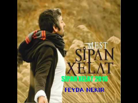 Sä Pan Xelat Feyda Nekir Nã New Neu 2016 1