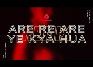 Are Re Are Yeh Kya Hua Remix DIl Toh Pagal Hai DJ Shadow Dubai DS PRODUCTION Viralsongs