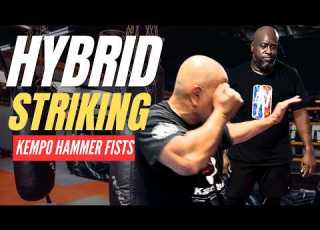  Stop Throwing Basic Punches Kempo HAMMERS For Striking Defence