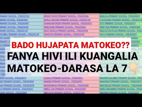 ANGALIA HAPA MATOKEO YA DARASA LA SABA 2023 2024