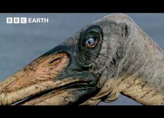Iconic Dinosaur Moments From Walking With Dinosaurs 1999 BBC Earth
