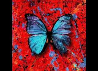  Ed Sheeran Stop The Rain Official Audio