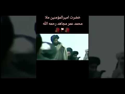ملامحمد عمر مجاهد حفظه الله