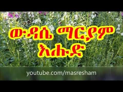 የእሑድ ውዳሴ ማርያም Wudase Mariam Sunday