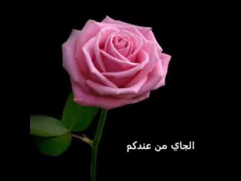 حالات وتس اب دينية مشتاق اشم النسيم الجاي