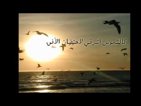 كالشموس أشرقي إبراهيم السعيد