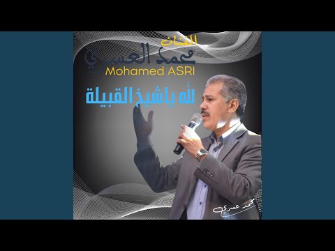 لله ياشيخ القبيلة