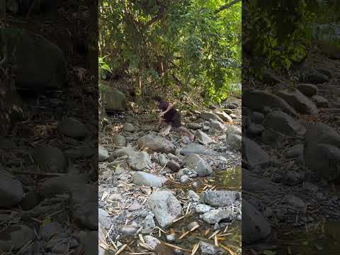 Nangusmo Sa Kadako Sa Halas