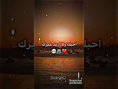 فلا تسأليني عن حالي فحالي من حال قلبي وحال قلبي من حالك تم فلا تسأليني عن حالي فحالي من حال قلبي وحال قلبي من حالك تم