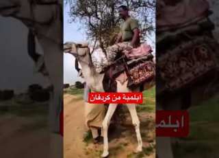 كيكلاب زخيرة تراب ابلور دويتو Duet