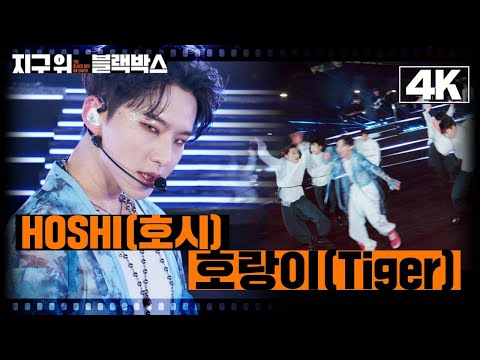 지구 위 블랙박스 4K HOSHI 호시 호랑이 Tiger ㅣKBS 방송