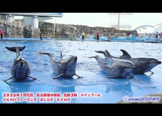  ２０２６年１月元旦 名古屋港水族館 北館３階 メインプール イルカパフォーマンス ＢＬＵＥ ＥＣＨＯ