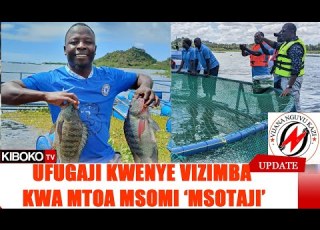  UFUGAJI SAMAKI KWENYE VIZIMBA ULIVYOMPA MAISHA MSOMI ALIYESOTA