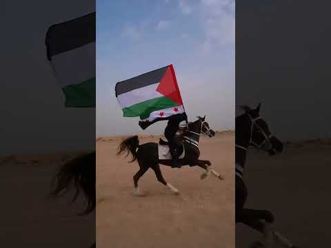 هو انت قد الاحرار ولقد الفلسطينيه بنموت وما نسلم دار الاحرار يرفعون علم فلسطين