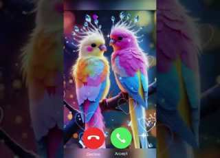 Beautiful Hindi Ringtone 2025 Love Phone Ringtone Download Ringtone
